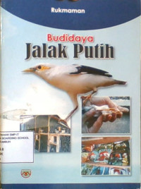 Budidaya Jalak Putih