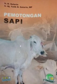 Pemotongan Sapi